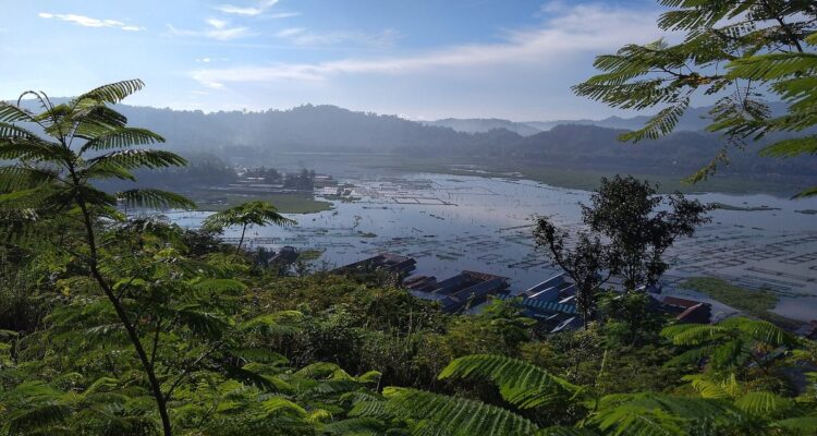 Pemandangan Rowo Jombor di Bayat, Klaten, dilihat dari ketinggian