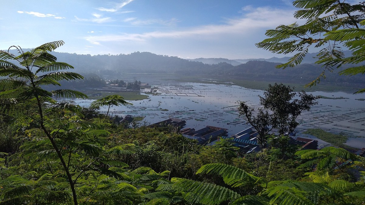 Pemandangan Rowo Jombor di Bayat, Klaten, dilihat dari ketinggian
