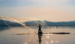 Penjala ikan menebar jala di perairan Rowo Jombor Klaten saat pagi
