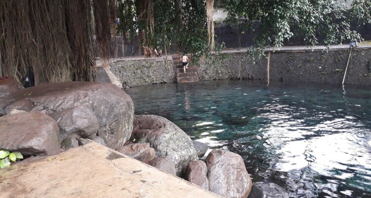 Kolam mata air jernih Umbul Sigedang dengan batu besar dan akar pohon