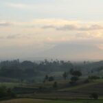Ilustrasi AI awan di atas sawah dengan siluet gunung
