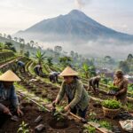 kopi-gayo-3-lereng-merapi-klaten